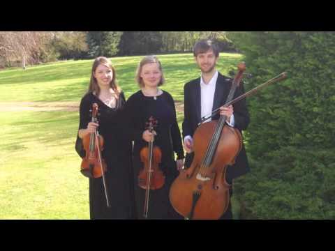 Vyne String Trio   Wonderful World