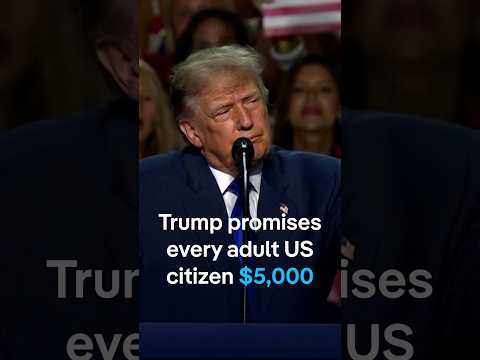 Trump pledges $5,000 to every US adult if Republicans win midterms | DW News