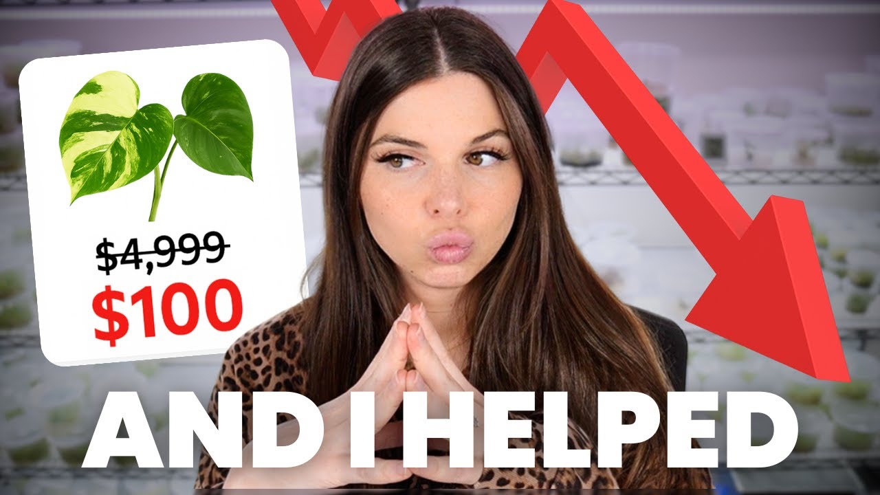 Tissue Culture KILLED the Rare Plant Market