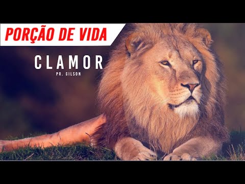 Clamor - Porção de Vida