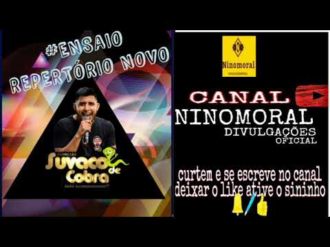 FORROZÃO SUVACO DE COBRA ATUALIZANDO REPERTÓRIO NOVO AGOSTO 2K21