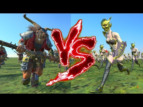 Bestigor Herd VS Sisters of Slaughter. Total War Warhammer 3