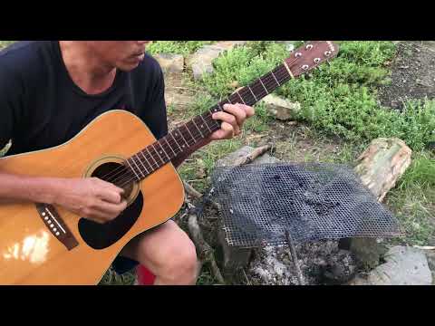 Guitar Acoustic Moris W15 giá rẻ shop Guitar Vĩnh an ,0353685457