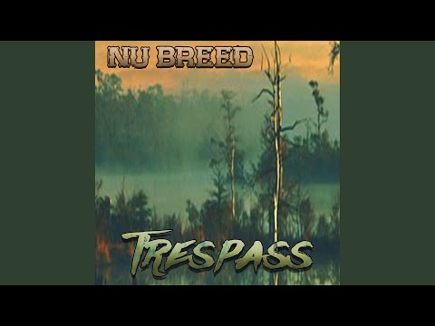 My Hero - Nu Breed