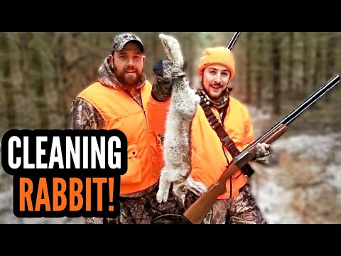 How To CLEAN A RABBIT! - Field Dressing Rabbit