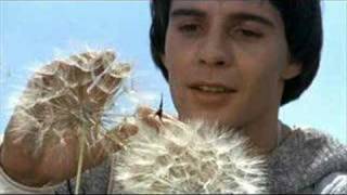 Fratello Sole Sorella Luna / Brother Sun Sister Moon(1972)