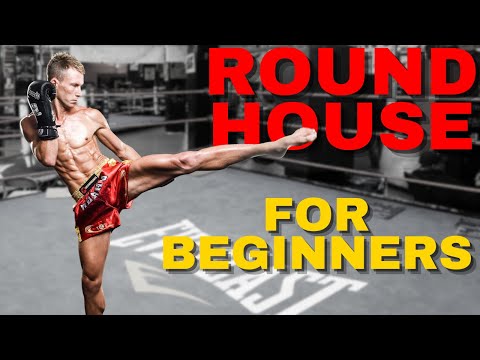How To Roundhouse Kick | For Beginners