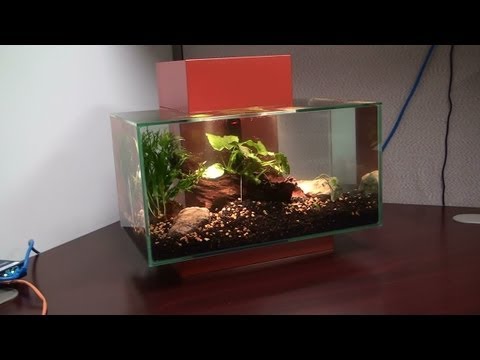 Fluval Edge 6 gallon: Unboxing and Setup