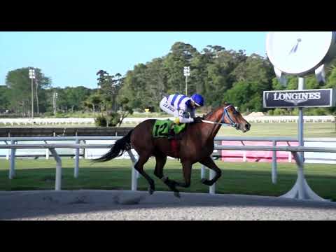 221218 c07 HABIL DECLARANTE