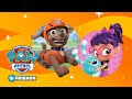 PAW Patrol & Abby Hatcher - Compilation #14 - PAW Patrol Official & Friends
