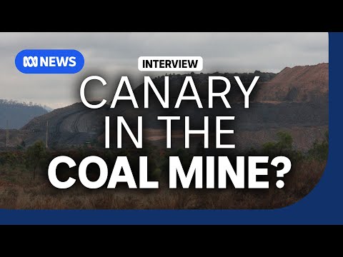 Other miners likely to follow BHP coal mine suspension, says asset manager