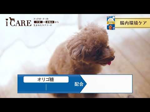 CAREドッグウェット（ロングver.） 2025年秋