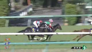 2020 皐月賞【実況してみた】