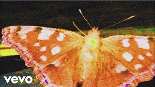 Frank Carter &amp; The Rattlesnakes - Why A Butterfly Can&#39;t Love A Spider