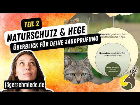 Überblick: Naturschutz und Hege (Teil 2/2) -  Wissen für die Jagdprüfung 🦊