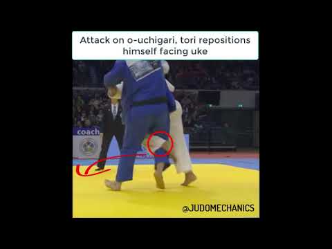 JUDOMECHANICS #106 | YOKO-TOMOE-NAGE BY DAVID MOURA