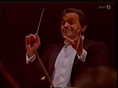 Die Fledermaus, Ulf Schirmer, Wiener Staatsoper, 31.12.1993