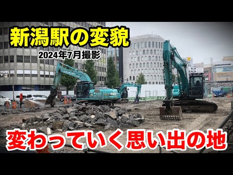 画像:ノクティリアン ミニロゴ.JPG