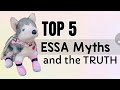 TOP 5 Myths About Emotional Support Stuffed Animals And The Truth AllESSAsAreValid Essa