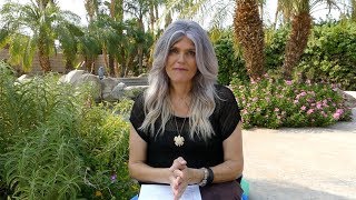 WHEN YOUR PET DIES/TRANSITIONS: WHAT HAPPENS?