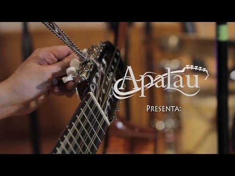 Apalau - Raíz (sesiones en vivo).