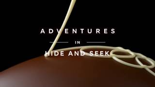 M&S Food - Adventures in Hide and Seek