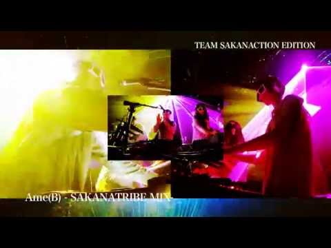 サカナクション／LIVE Blu-ray&DVD「SAKANATRIBE 2014 Featuring TEAM SAKANACTION Edition」トレイラー