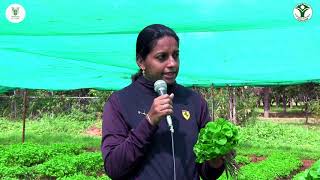 Centella Asiatica of ICAR-IIHR (Kannada)