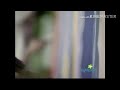 Sesame Street Episode 4015 FULL