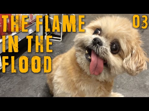 THE FLAME IN THE FLOOD Part 03 - "SUCH A GOOD DOGGIE!!!" Beta gameplay walkthrough