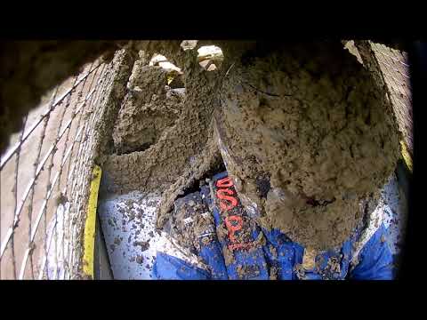 Autocross LIVE - Bundesmann Racing in voller Action!