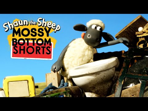 Down the Loo 🚽 Mossy Bottom Farm Shorts 🐑 #ShauntheSheep
