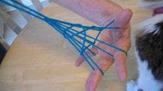 Fish Trap string figure tutorial