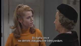 Studio DSE - Subtitle: Barefoot in the Park