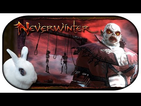 NEVERWINTER: Paladin-LP 🐇 31 - Hexabaal schickt uns ins Sanatorium