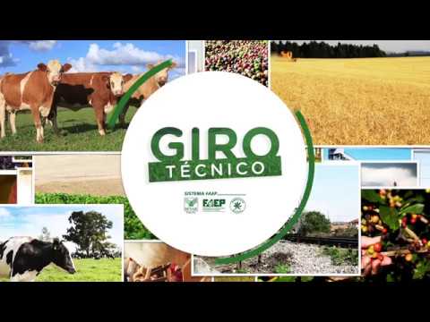 Giro Técnico: Programa pecuária moderna