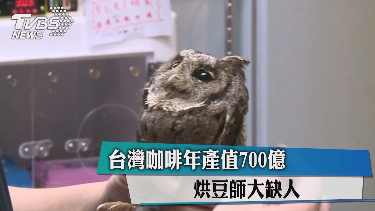 台灣瀕危物種紅皮書 15物種列極危