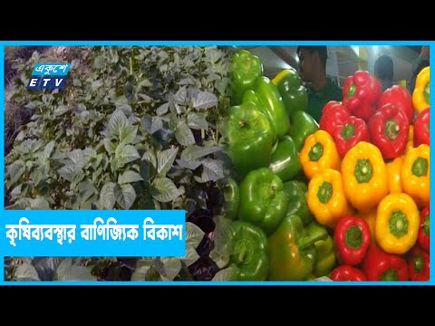 বর্তমানে বাংলাদেশ বিশ্বে সবজি উৎপাদনে তৃতীয়