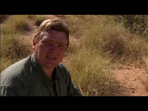 Ray Mears Goes Walkabout S01E04    Rock Art