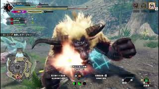Lv220傀異激昂ラージャン太刀3:22非火事場盟友無し