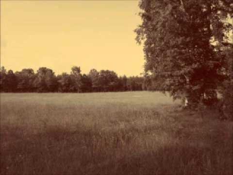 Lowe Stokes - Home Brew Rag