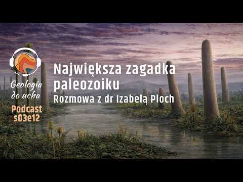 Rezerwat Kadzielnia w Kielcach – Zjawiska krasowe i dewon