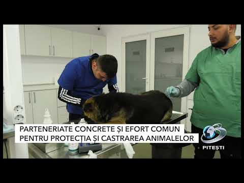 Reportaj TV despre călătoria delegației germane  / TV Bericht zur Deutschen Delegationsreise 06.2023