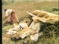 На городі конопельки - Кубанський козачий хор