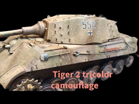 Tiger in ambush. How to paint three-color camouflage