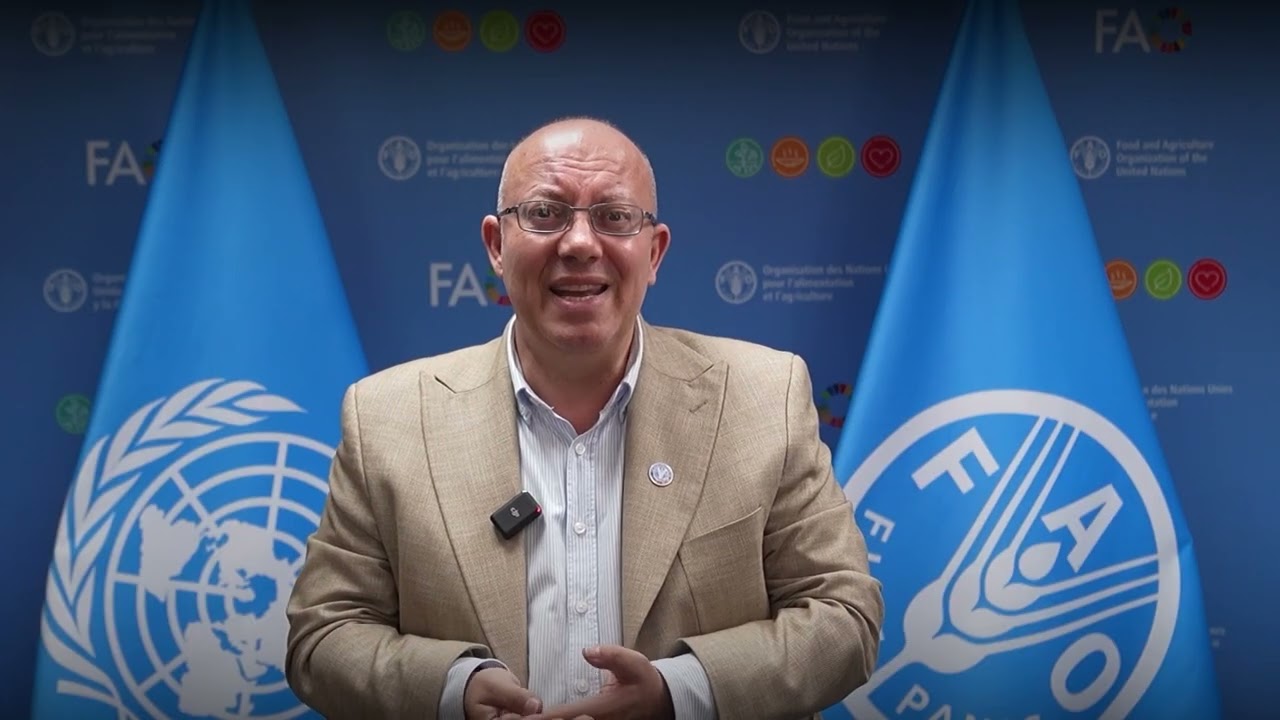 Hunger Hotspots 2025: FAO representative in Haiti, Pierre Vauthier