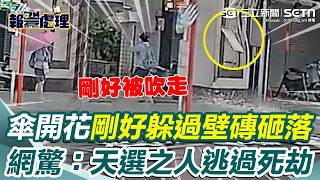 【#報警處理】颱風天驚魂一刻！民眾被巴威強風吹到「傘開花」站不住...下一秒整片壁磚從天而降 生死瞬間全被拍下！網驚：天選之人躲過死劫！｜三立新聞網 SETN.com
