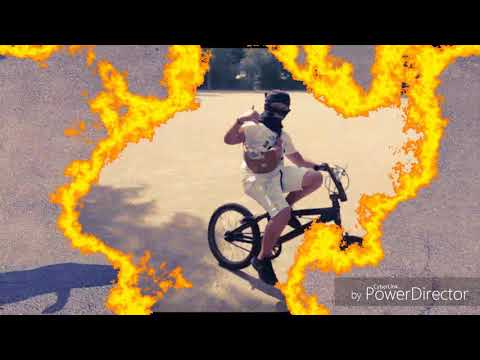 Lindi gang x lila Scheine