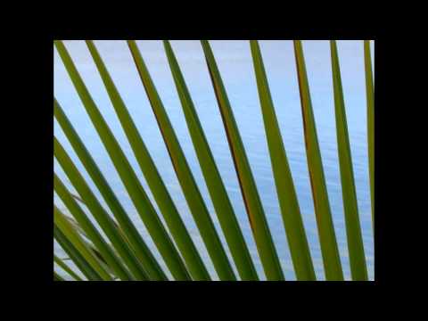 Jamaican Sunset - Danny Davis & The Nashvlle Brass.avi