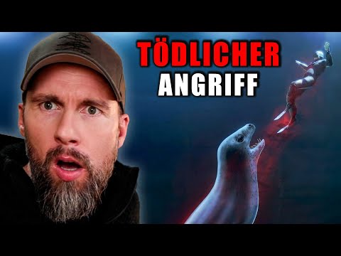 Forschungstaucherin stirbt durch Seeleoparden-Attacke – Was ist passiert? | Robert Marc Lehmann
